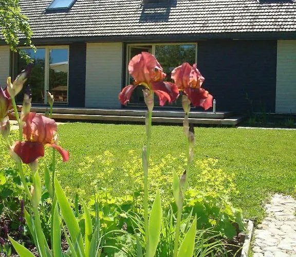 Vakantiehuis Lembitu Pärnu